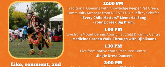 24th Annual Community Pow wow virtual event and giveaway day