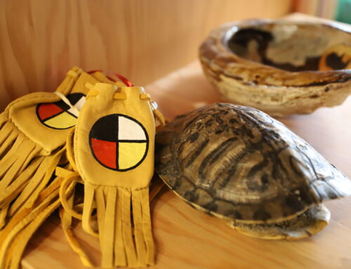 Protected: Indigenous Healing and Wellness Strategy Forum Resources